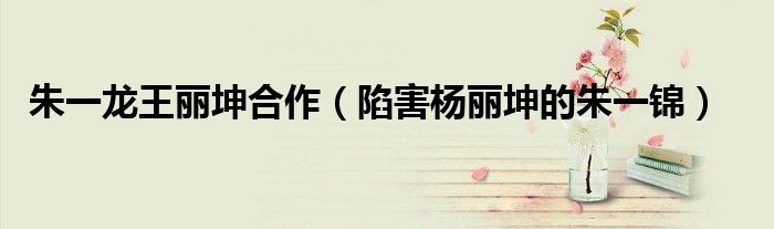 朱一龙王丽坤合作（陷害杨丽坤的朱一锦）