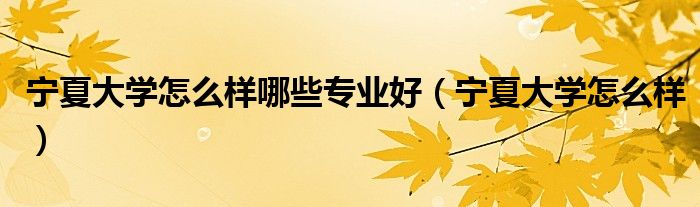 宁夏大学怎么样哪些专业好（宁夏大学怎么样）