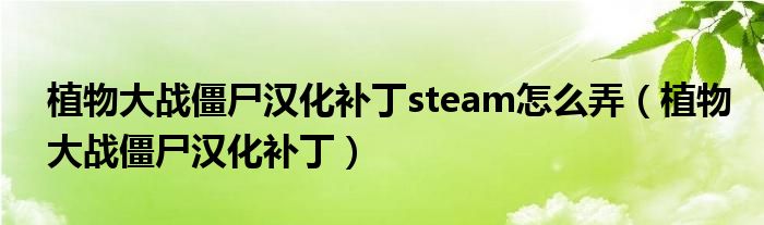 植物大战僵尸汉化补丁steam怎么弄（植物大战僵尸汉化补丁）