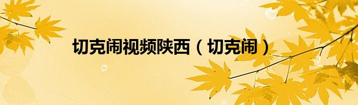 切克闹视频陕西（切克闹）