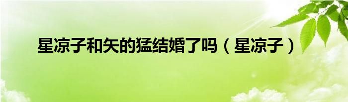 星凉子和矢的猛结婚了吗（星凉子）