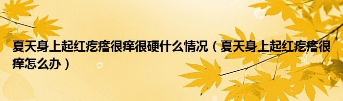 夏天身上起红疙瘩很痒很硬什么情况（夏天身上起红疙瘩很痒怎么办）