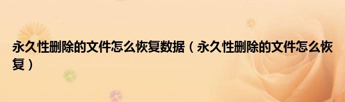 永久性删除的文件怎么恢复数据（永久性删除的文件怎么恢复）