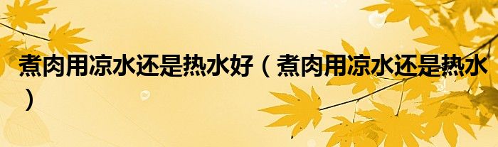 煮肉用凉水还是热水好（煮肉用凉水还是热水）