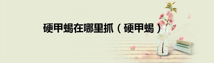 硬甲蝎在哪里抓（硬甲蝎）
