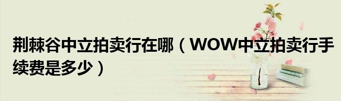 荆棘谷中立拍卖行在哪（WOW中立拍卖行手续费是多少）