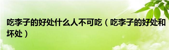 吃李子的好处什么人不可吃（吃李子的好处和坏处）