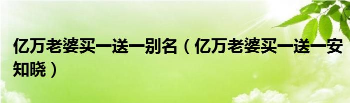 亿万老婆买一送一别名（亿万老婆买一送一安知晓）