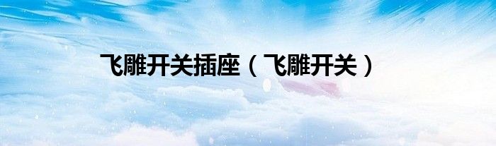 飞雕开关插座（飞雕开关）