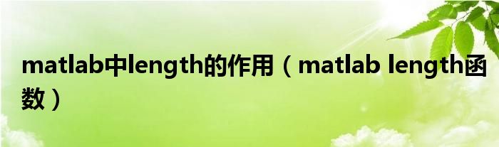 matlab中length的作用（matlab length函数）