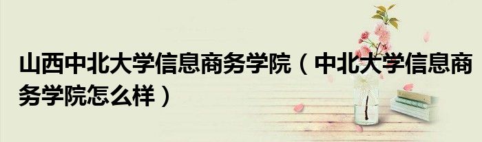 山西中北大学信息商务学院（中北大学信息商务学院怎么样）
