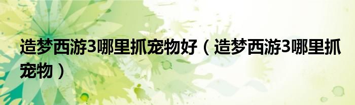 造梦西游3哪里抓宠物好（造梦西游3哪里抓宠物）
