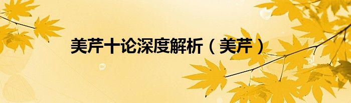 美芹十论深度解析（美芹）
