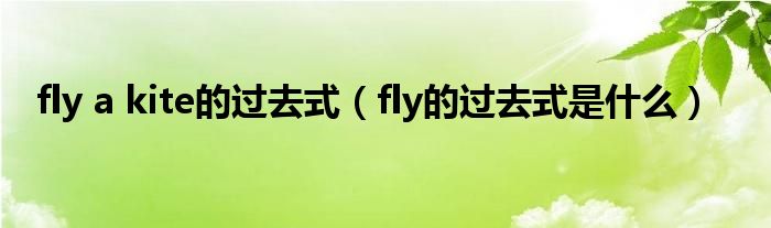 过去式是什么flykite