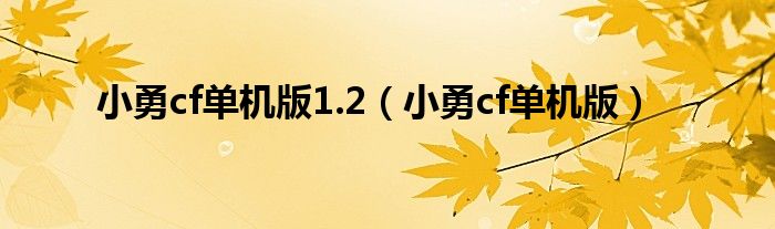 小勇cf单机版1.2（小勇cf单机版）