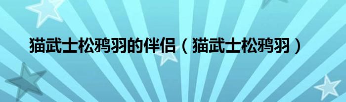 猫武士松鸦羽的伴侣（猫武士松鸦羽）