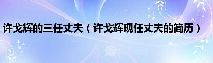 许戈辉的三任丈夫（许戈辉现任丈夫的简历）