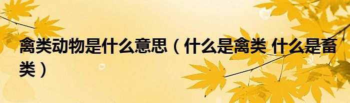 禽类动物是什么意思（什么是禽类 什么是畜类）