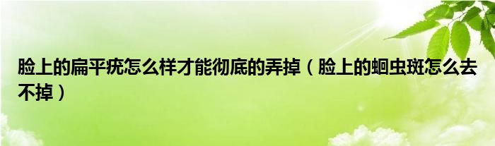 脸上的扁平疣怎么样才能彻底的弄掉（脸上的蛔虫斑怎么去不掉）