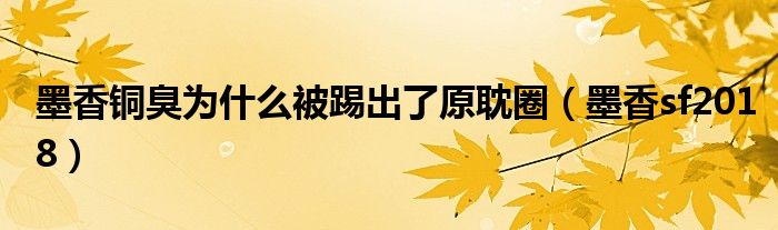 墨香铜臭为什么被踢出了原耽圈（墨香sf2018）