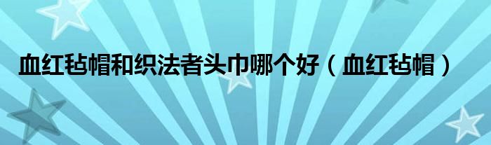 血红毡帽和织法者头巾哪个好（血红毡帽）