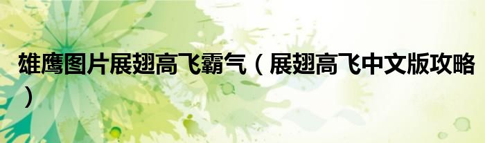 雄鹰图片展翅高飞霸气（展翅高飞中文版攻略）