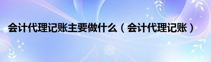 会计代理记账主要做什么（会计代理记账）