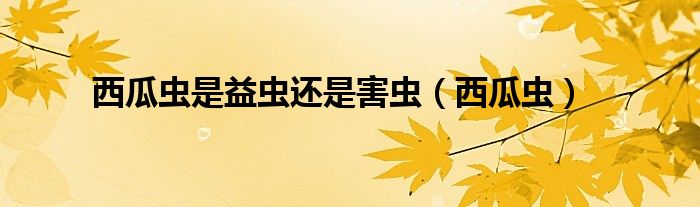 西瓜虫是益虫还是害虫（西瓜虫）