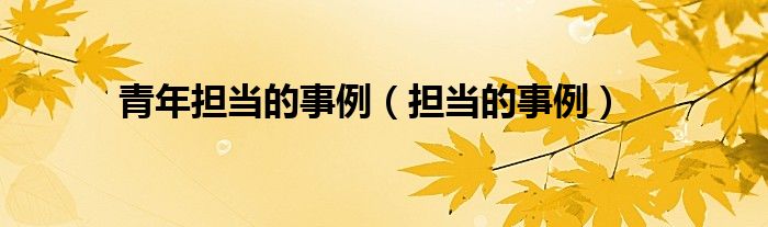 青年担当的事例（担当的事例）