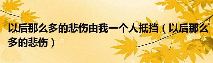 以后那么多的悲伤由我一个人抵挡（以后那么多的悲伤）