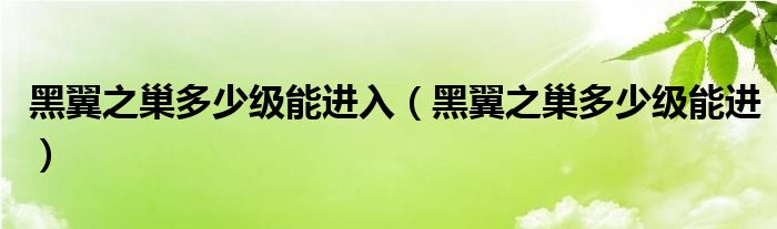 黑翼之巢多少级能进入（黑翼之巢多少级能进）