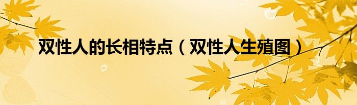 双性人的长相特点（双性人生殖图）
