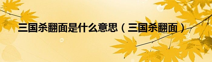 三国杀翻面是什么意思（三国杀翻面）