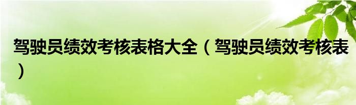 驾驶员绩效考核表格大全（驾驶员绩效考核表）
