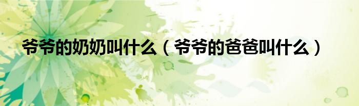 爷爷的奶奶叫什么（爷爷的爸爸叫什么）