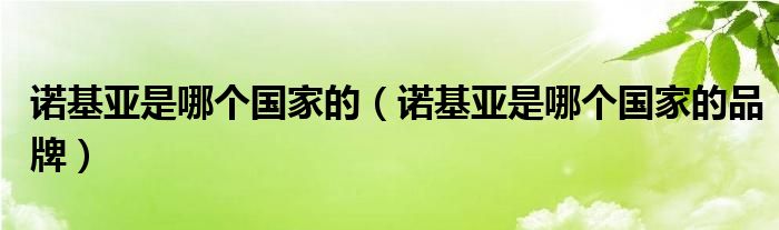 诺基亚是哪个国家的（诺基亚是哪个国家的品牌）