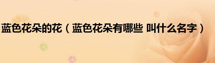 蓝色花朵的花（蓝色花朵有哪些 叫什么名字）
