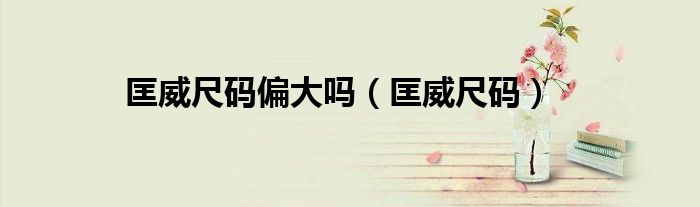 匡威尺码偏大吗（匡威尺码）