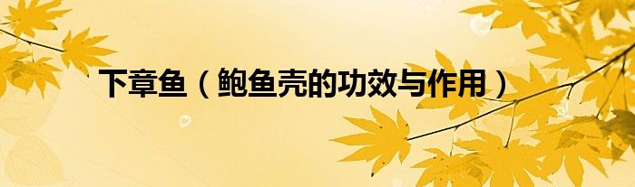 下章鱼（鲍鱼壳的功效与作用）