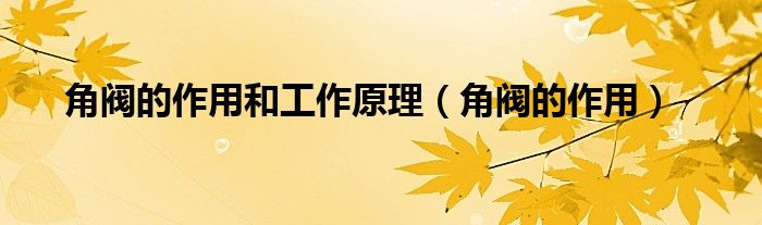 角阀的作用和工作原理（角阀的作用）