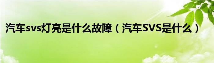 汽车svs灯亮是什么故障（汽车SVS是什么）