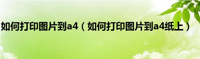 如何打印图片到a4（如何打印图片到a4纸上）