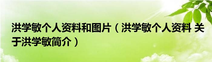洪学敏个人资料和图片（洪学敏个人资料 关于洪学敏简介）