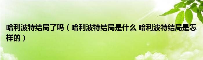 哈利波特结局了吗（哈利波特结局是什么 哈利波特结局是怎样的）