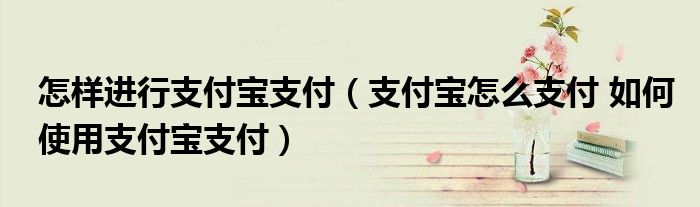 怎样进行支付宝支付（支付宝怎么支付 如何使用支付宝支付）