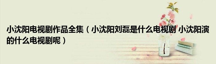 小沈阳电视剧作品全集（小沈阳刘磊是什么电视剧 小沈阳演的什么电视剧呢）