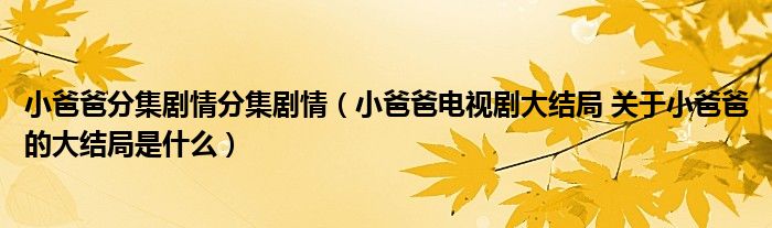 小爸爸分集剧情分集剧情（小爸爸电视剧大结局 关于小爸爸的大结局是什么）