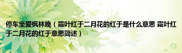停车坐爱枫林晚（霜叶红于二月花的红于是什么意思 霜叶红于二月花的红于意思简述）