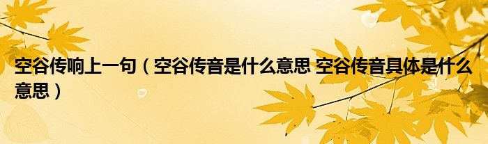 空谷传响上一句（空谷传音是什么意思 空谷传音具体是什么意思）