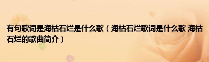 有句歌词是海枯石烂是什么歌（海枯石烂歌词是什么歌 海枯石烂的歌曲简介）